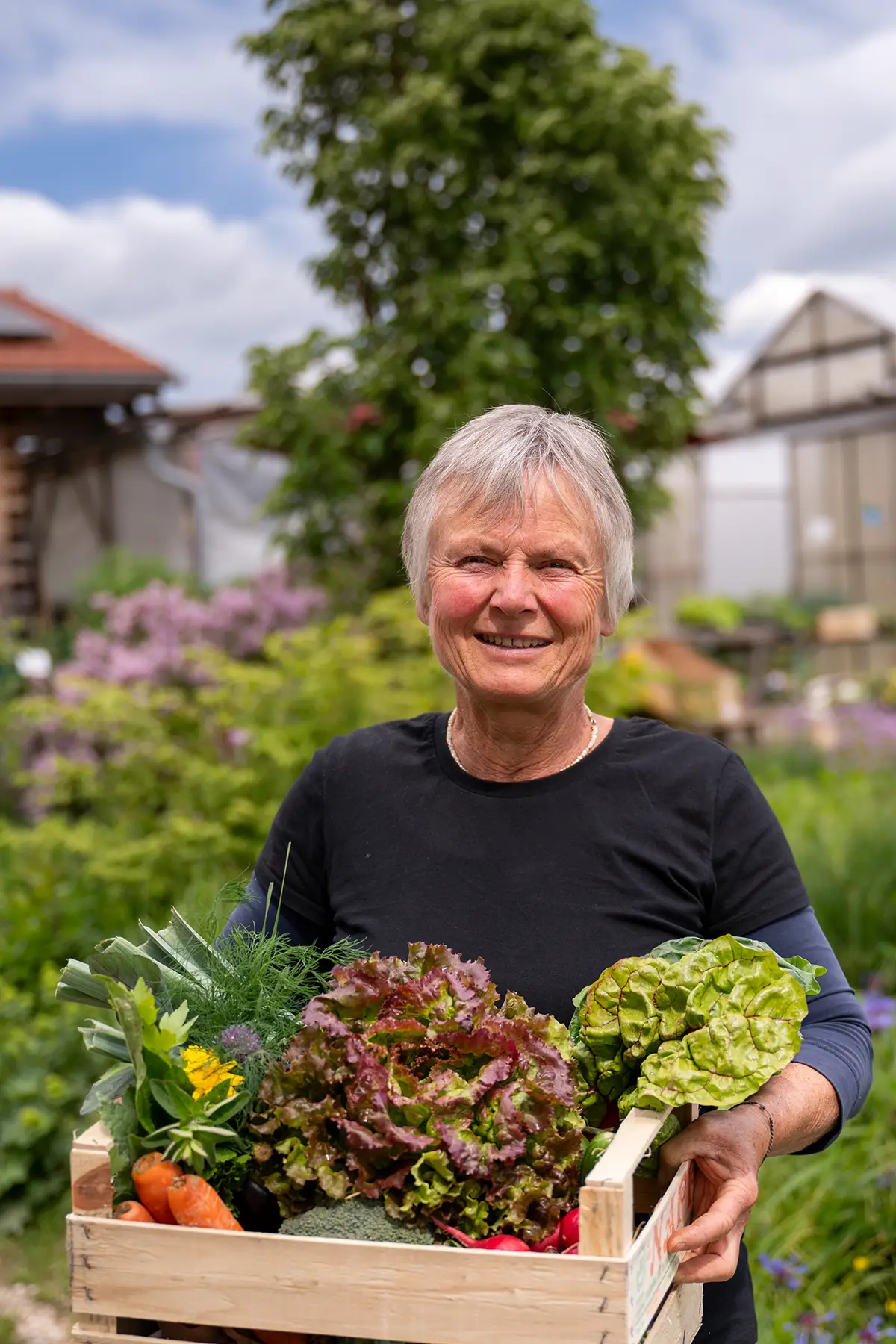 Junge Gemüsepflanzen für den Bio-Anbau stehen bereit, während im Hintergrund ein Feld in der Gärtnerei in Riedering bewässert wird.